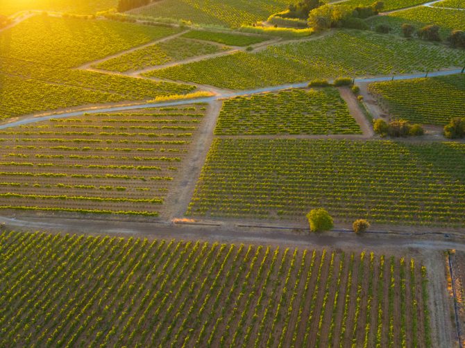 The Soul of Châteauneuf-du-Pape’s Wine Region