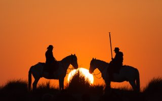 Europe’s Lost Cowboys: Guardians of France’s Wild Delta