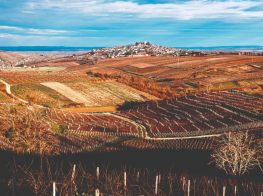 The Secrets of Sancerre...