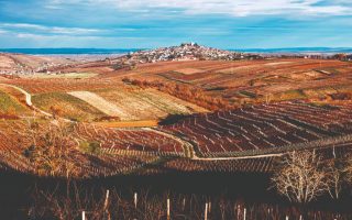 The Secrets of Sancerre