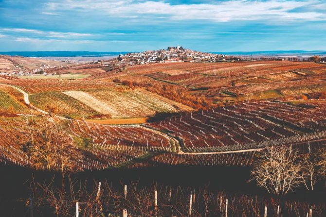 The Secrets of Sancerre