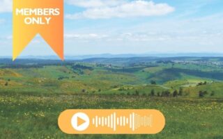 La Margeride: A Hidden Corner of France Strewn With Wildflowers