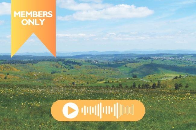 La Margeride: A Hidden Corner of France Strewn With Wildflowers