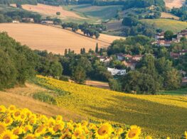 Authentic Southwest: Laid-Back Summer Days in Occitanie and ...
