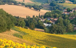 Authentic Southwest: Laid-Back Summer Days in Occitanie and Nouvelle-Aquitaine