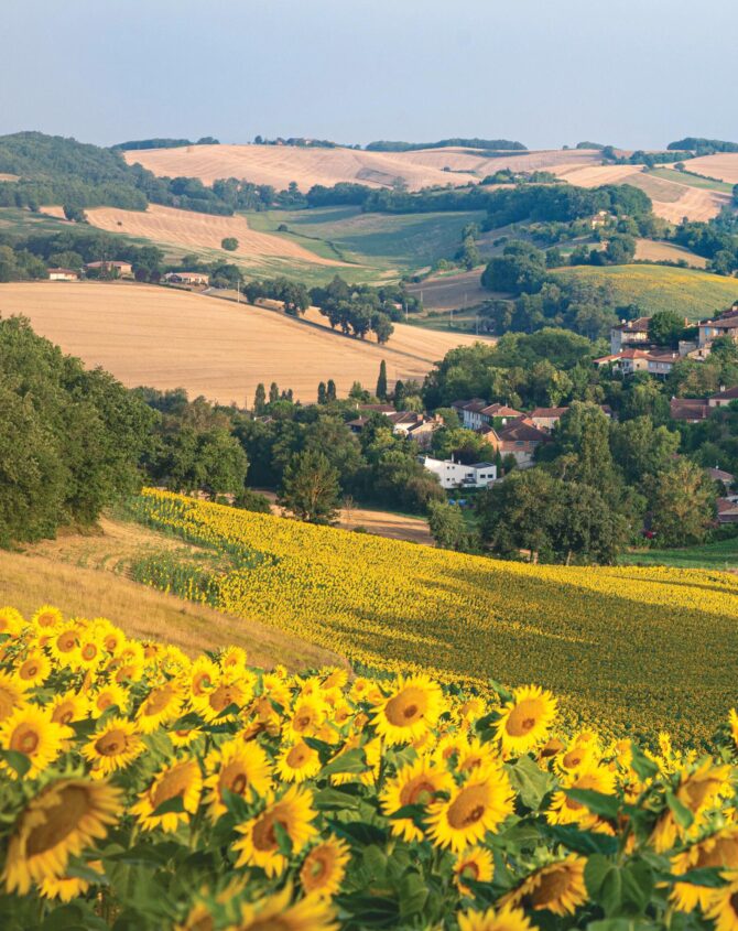 Authentic Southwest: Laid-Back Summer Days in Occitanie and Nouvelle-Aquitaine