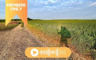 Finding Silence on France’s Via Francigena 