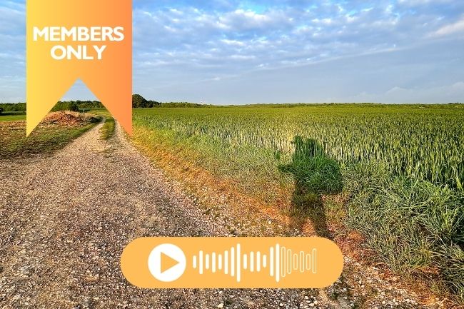 Finding Silence on France’s Via Francigena 