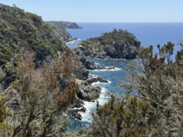 Porquerolles Island: a guide to France’s best-kept sec...