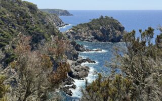 Porquerolles Island: a guide to France’s best-kept secret