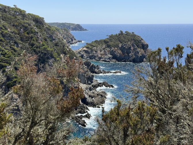 Porquerolles Island: a guide to France’s best-kept secret