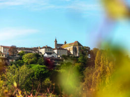 Autumn in the Southwest: Seasonal Escapes in Authentic South...