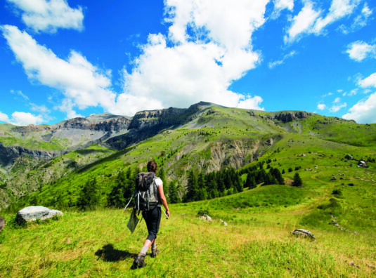 Go Wild in the Alpes-Maritimes: A Local’s Guide Beyond...