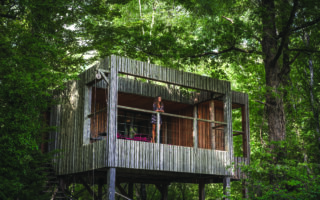 Treetop Hotels: France’s New Generation of Luxury Forest Retreats