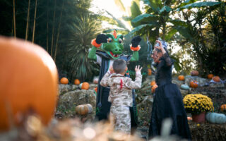 Halloween 2026 in Walygator Sud-Ouest